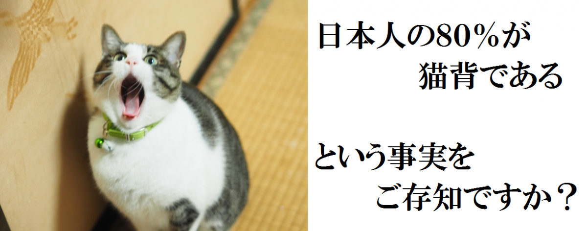 日本人の80%は猫背